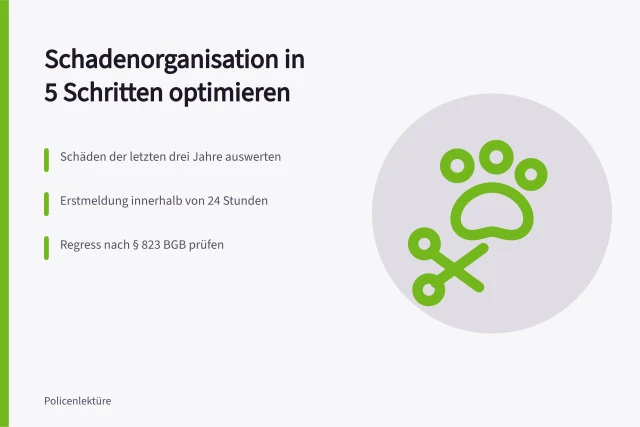 Karte zur Schadenorganisation mit fünf Schritten und Fristen. Schadenorganisation optimieren in 5 Schritten für den Ernstfall