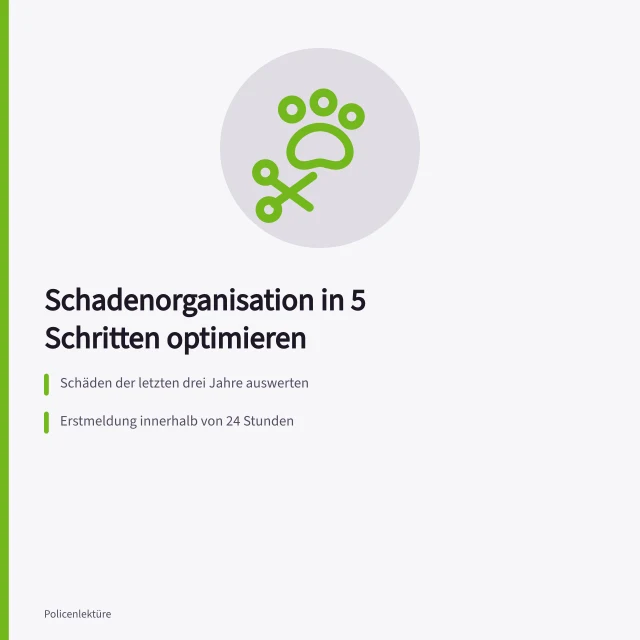 Karte zur Schadenorganisation mit fünf Schritten und Fristen. Schadenorganisation optimieren in 5 Schritten für den Ernstfall
